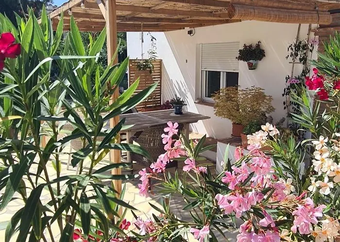 La Surena