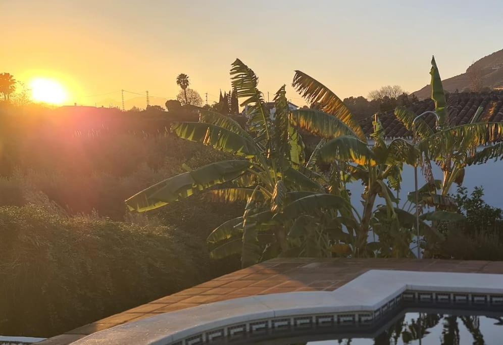 Apartamento La Surena