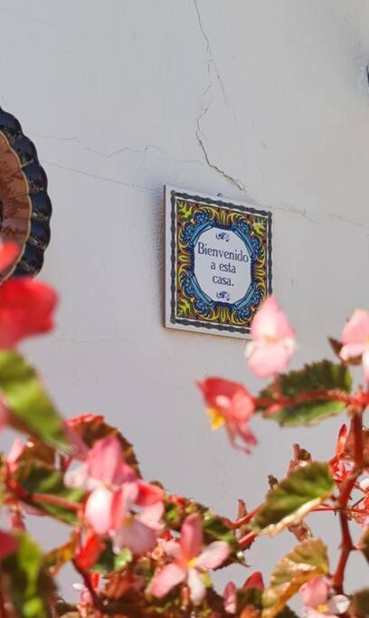 La Surena Apartamento *
